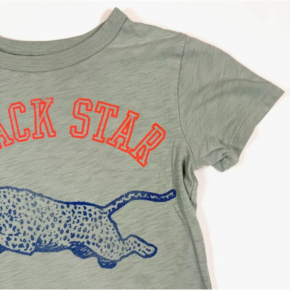 Crewcuts girls graphic
